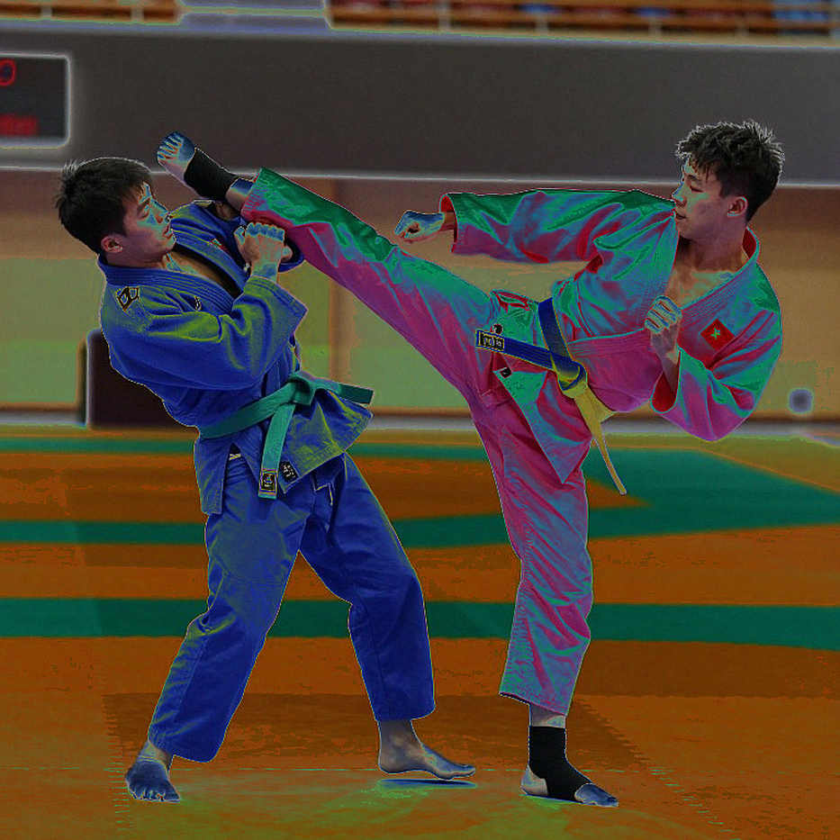 Vàng poomsae Chuncheon 2026: tấm huy chương, hai thế hệ và khoảng trống không ai nhắc