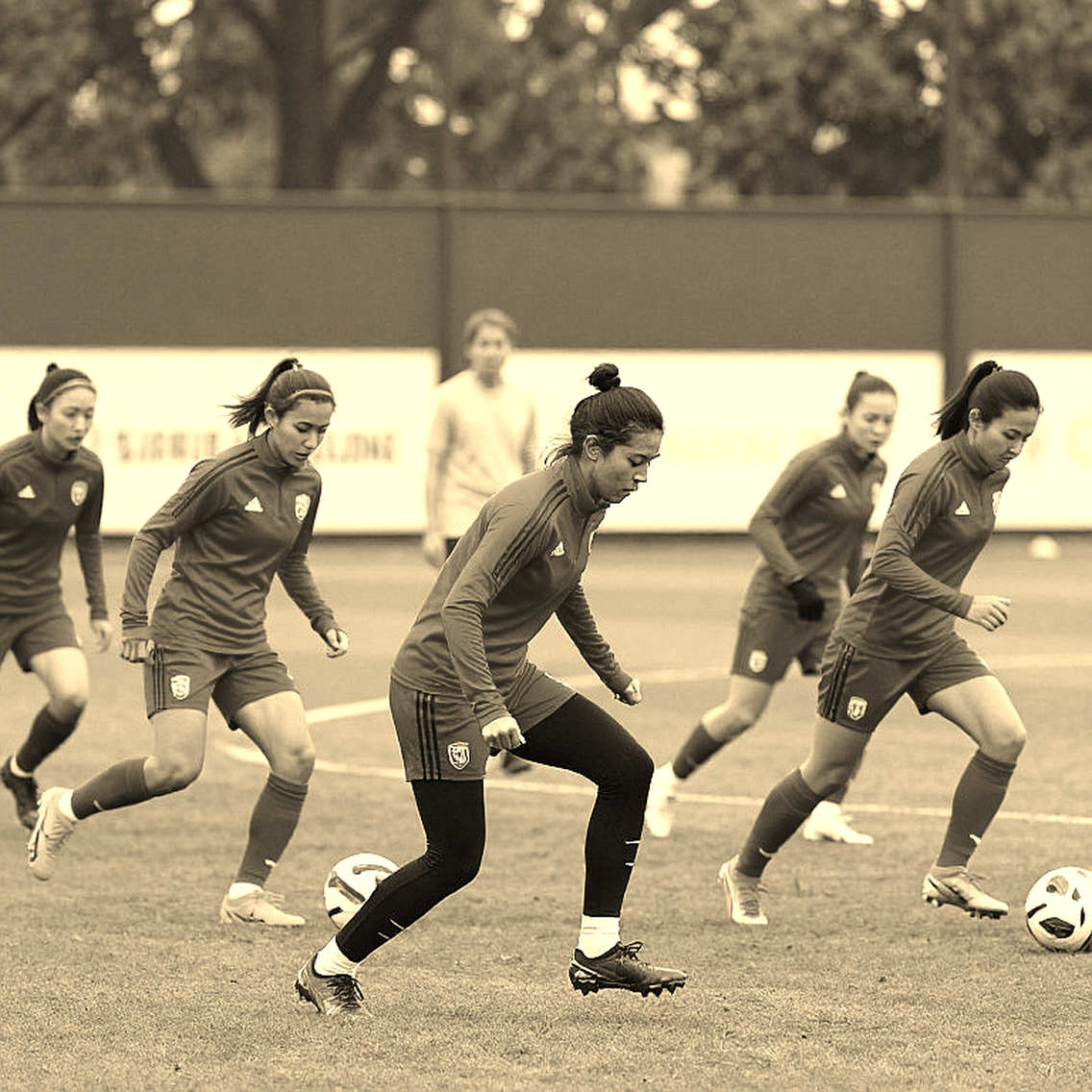 V-League không có vấn đề bạo lực — nó có vấn đề giáo dục: 4 trận treo giò không dạy được ai cách vào bóng